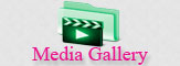 Media Gallery Media Gallery